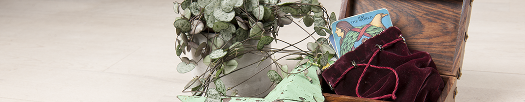 BannerRoze1